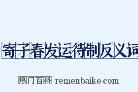 寄子春发运待制反义词是什么意思的图片